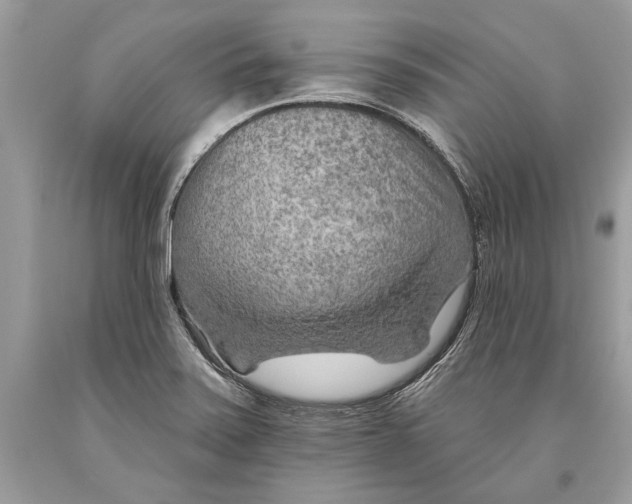 X0000093471371200710261033