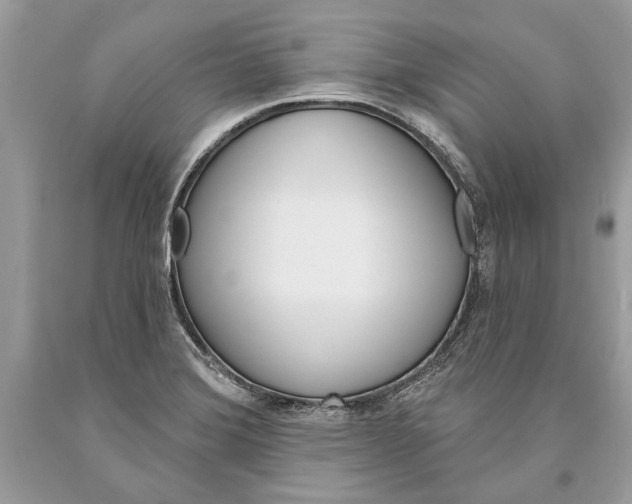 X0000093471372200710261033