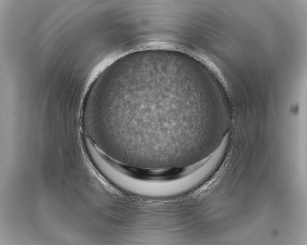 X0000093471373200710261033