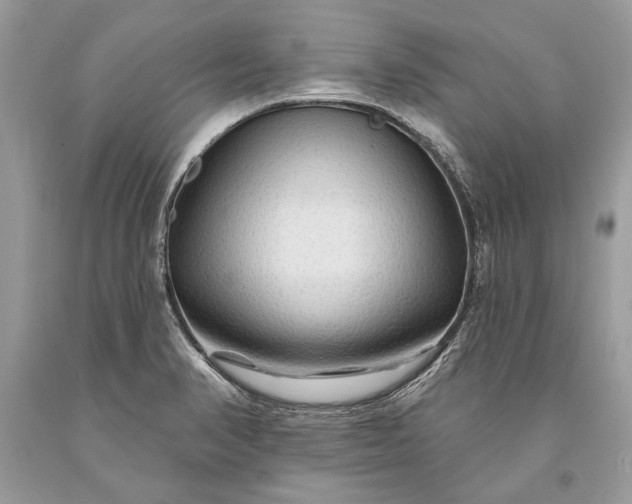 X0000093471374200710261033