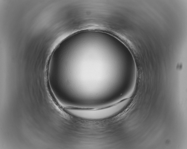 X0000093471375200710261033