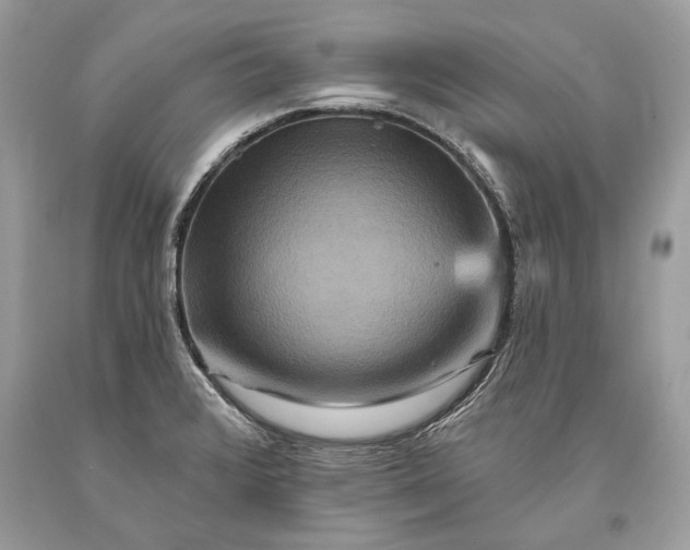 X0000093471376200710261033