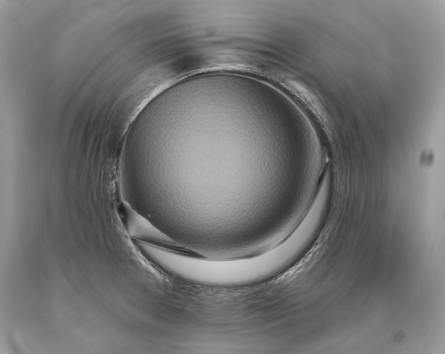 X0000093471377200710261033