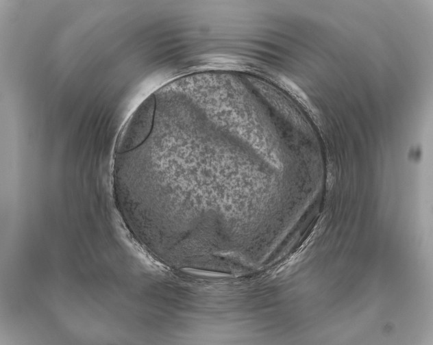 X0000093471378200710261033