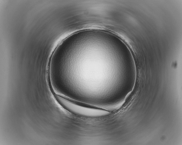 X0000093471379200710261033