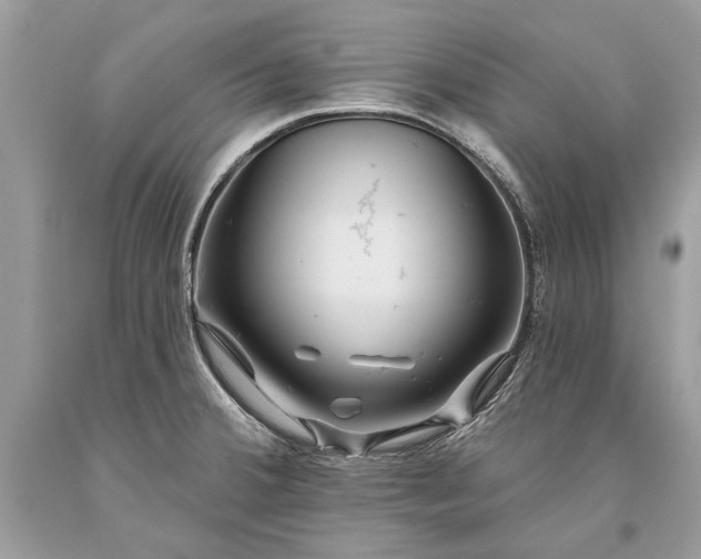 X0000093471380200710261033