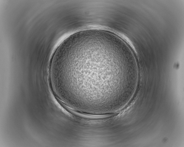 X0000093471381200710261033