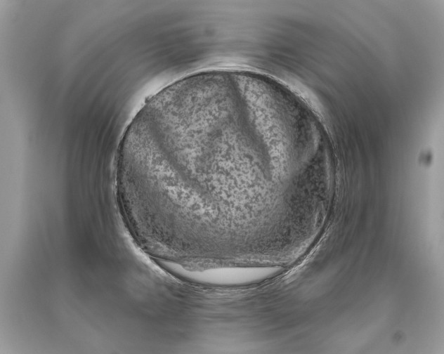 X0000093471382200710261033