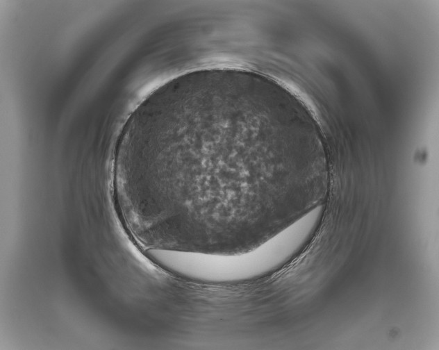 X0000093471383200710261033