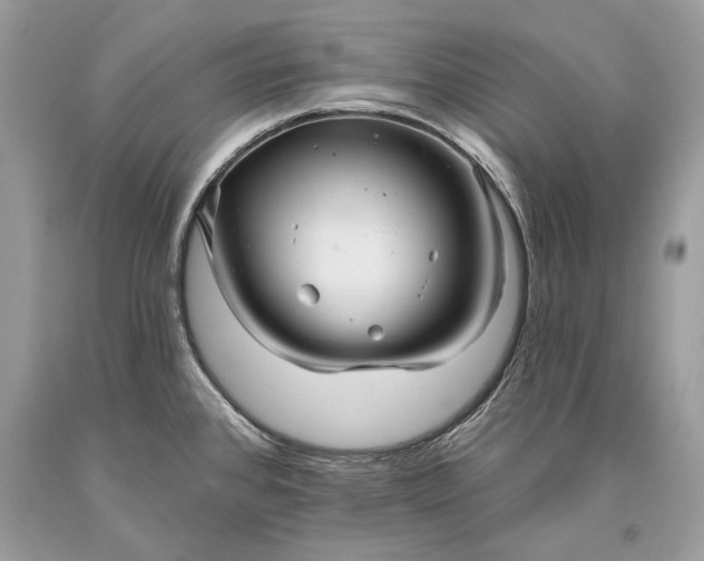 X0000093471384200710261033