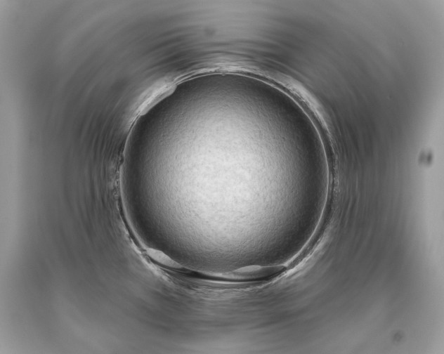 X0000093471385200710261033