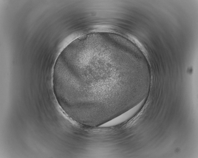 X0000093471386200710261033