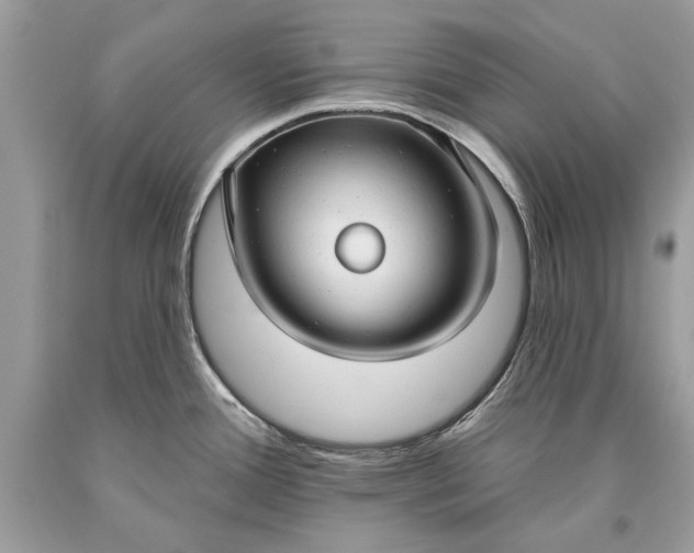 X0000093471388200710261033