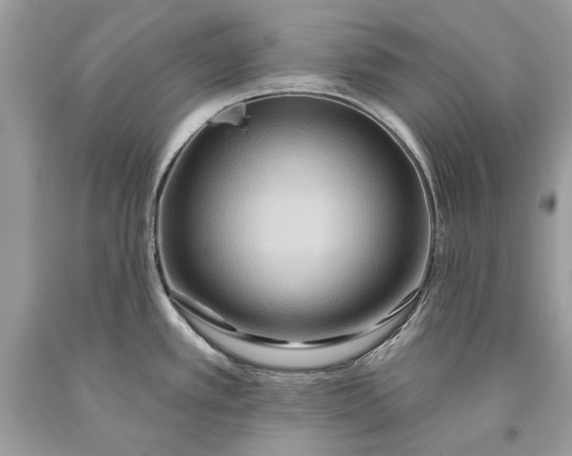 X0000093471389200710261033