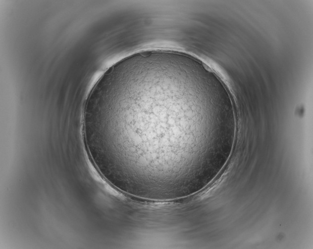 X0000093471390200710261033