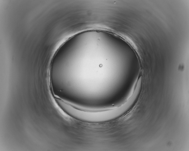 X0000093471391200710261033