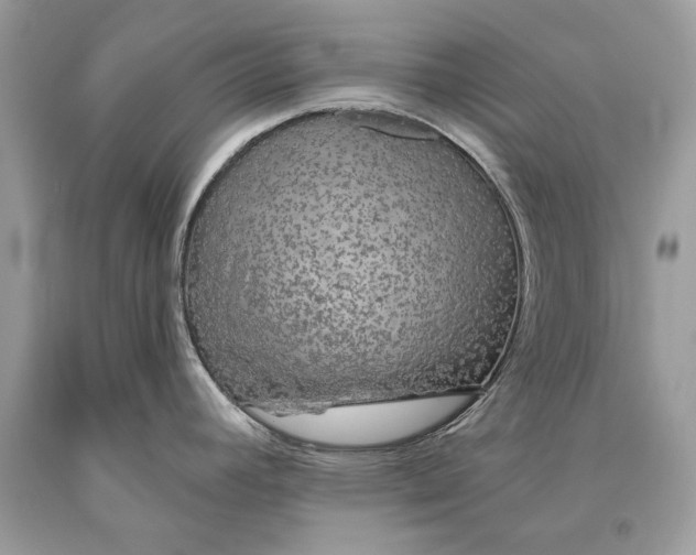 X0000093471392200710261033