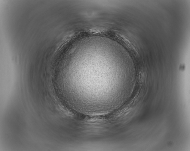 X0000093471393200710261032