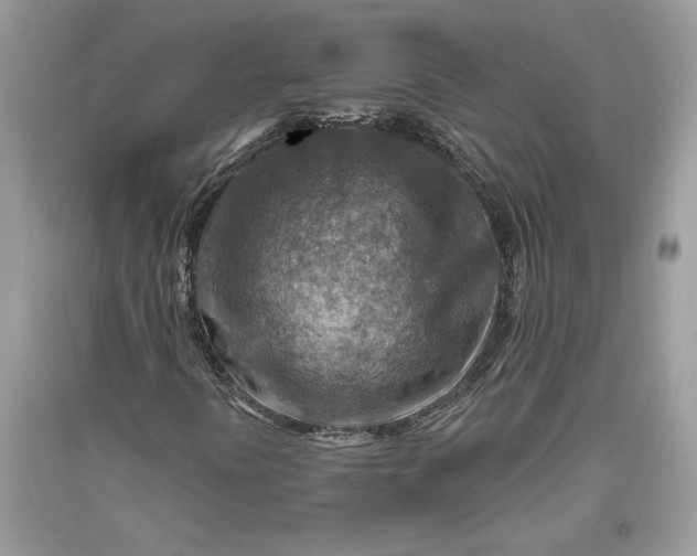 X0000093471394200710261032