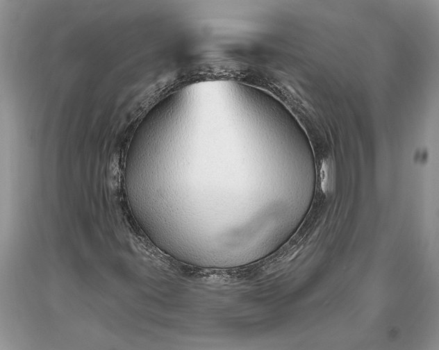 X0000093471395200710261032