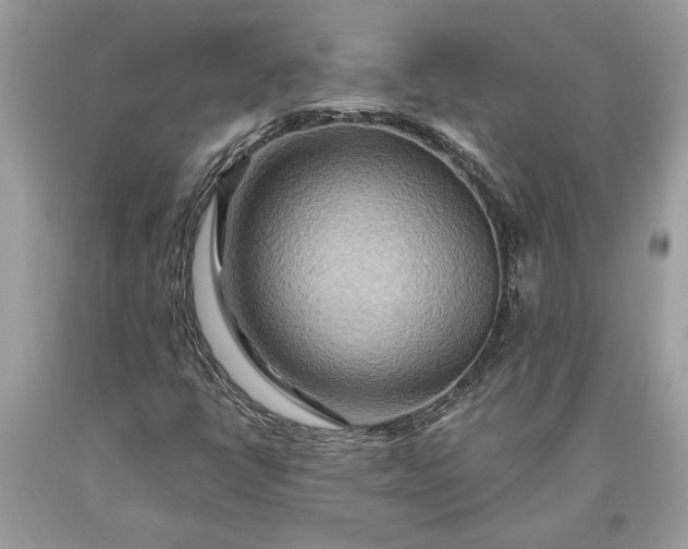 X0000093471398200710261032