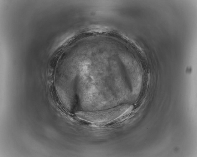 X0000093471399200710261032