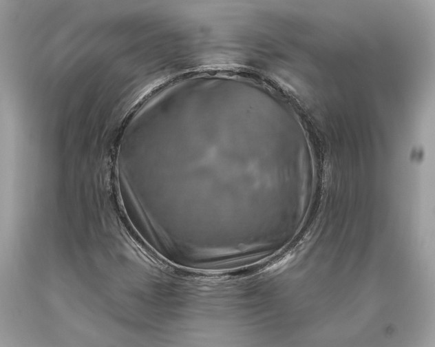 X0000093471401200710261033