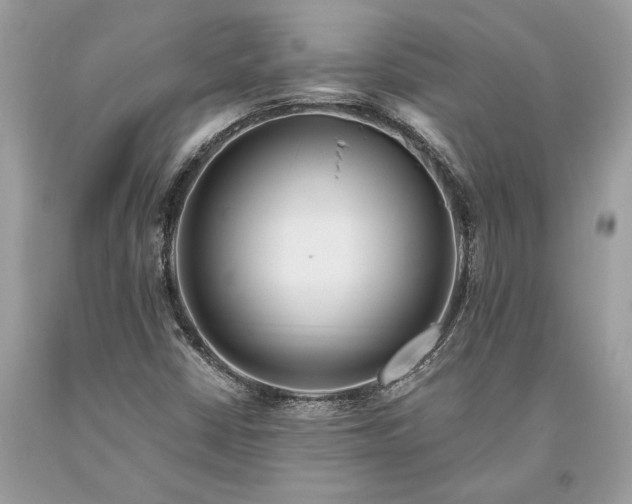 X0000093471402200710261033