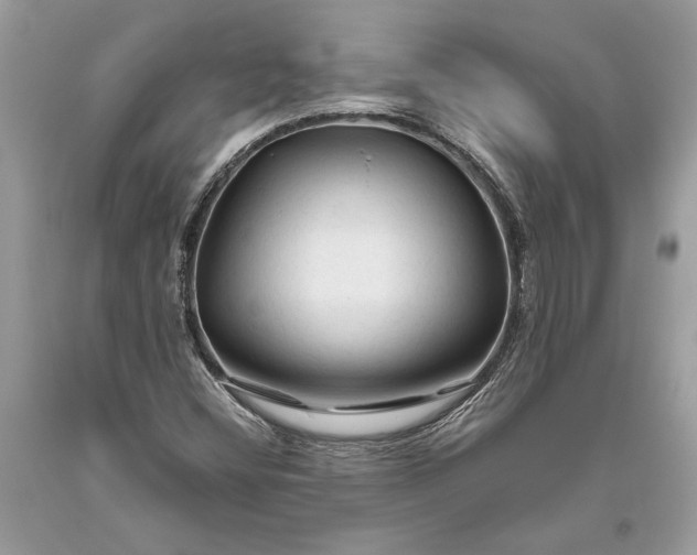 X0000093471404200710261033