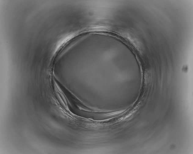 X0000093471405200710261033