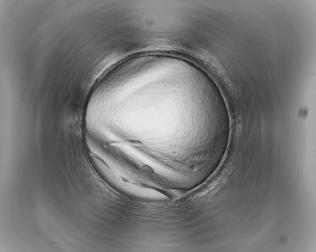 X0000093471409200710261033