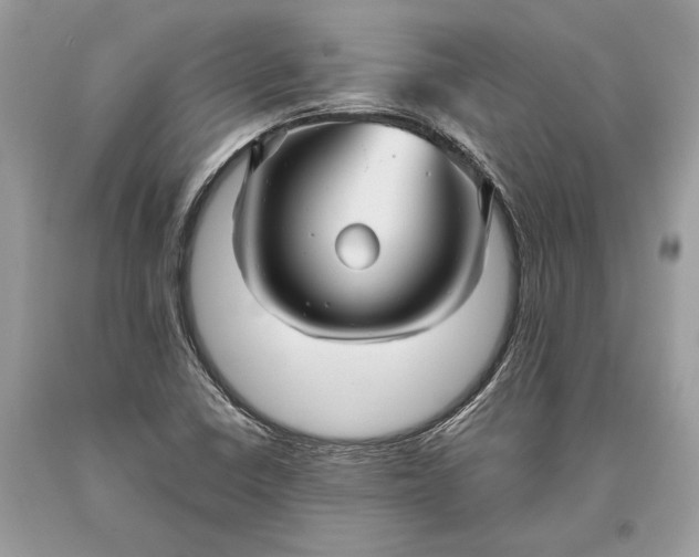 X0000093471410200710261033