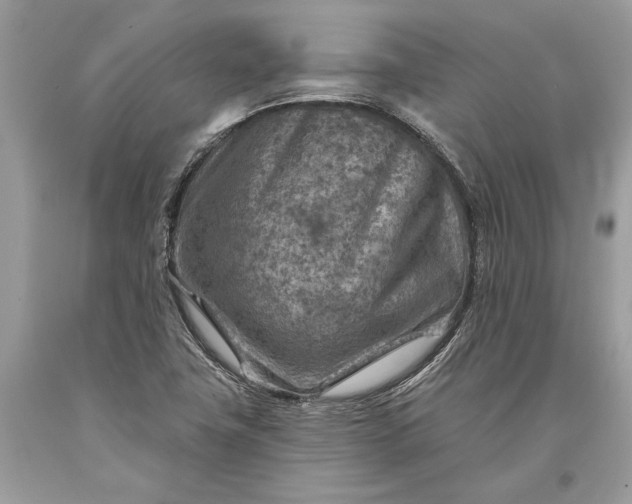 X0000093471411200710261033