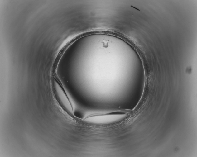 X0000093471412200710261033