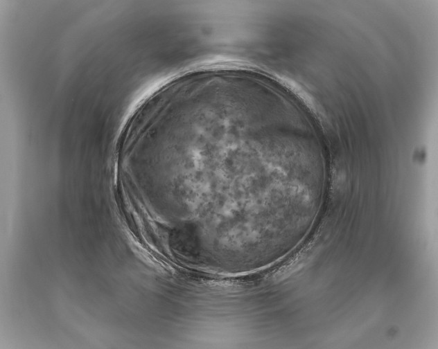 X0000093471413200710261033