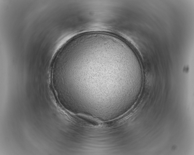 X0000093471415200710261033