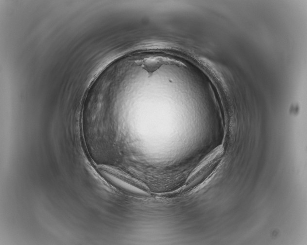 X0000093471417200710261033