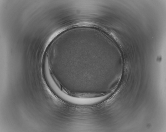 X0000093471418200710261033