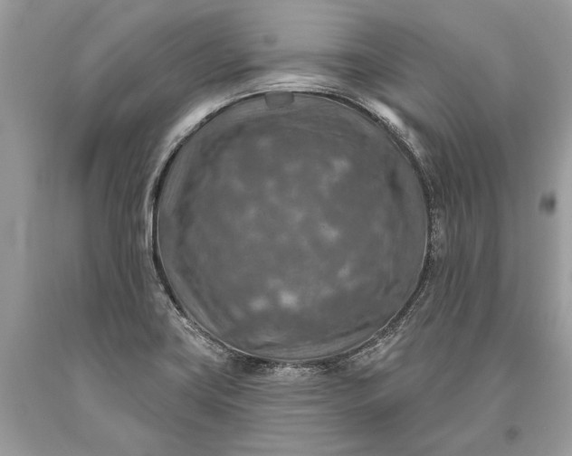 X0000093471419200710261033