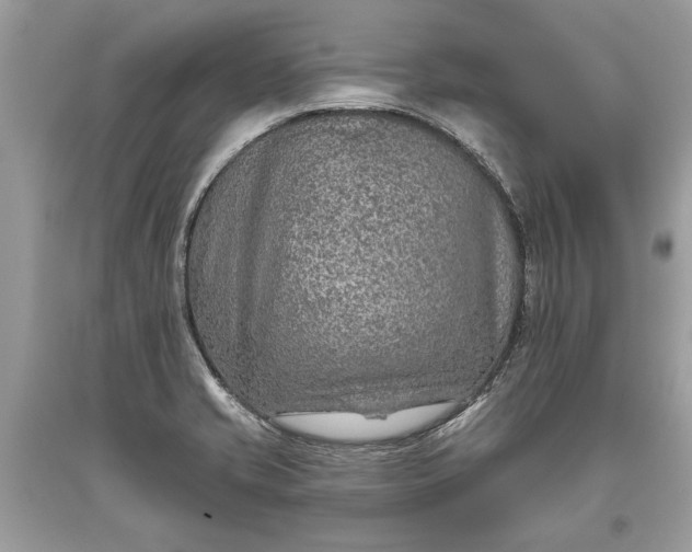 X0000093471421200710261033