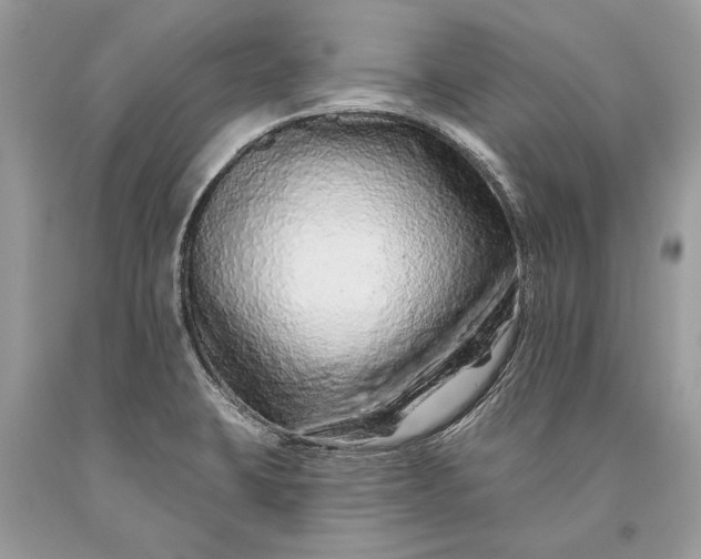 X0000093471423200710261033