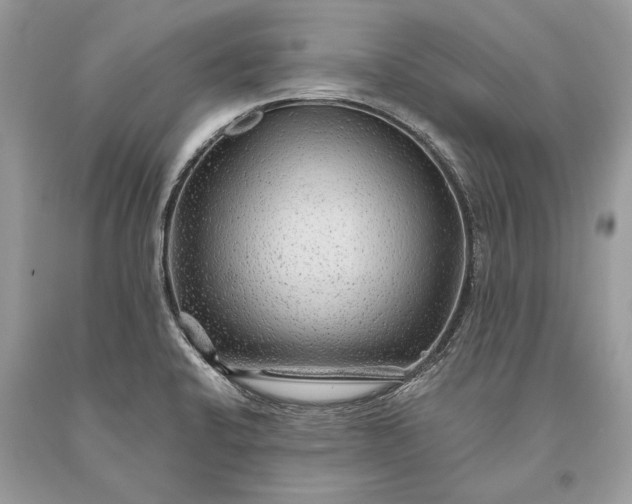 X0000093471424200710261033