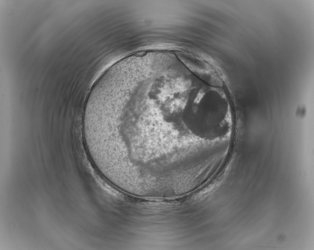 X0000093471425200710261033