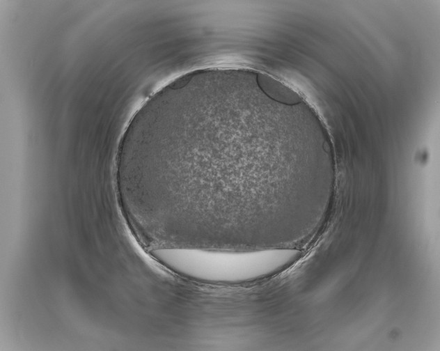 X0000093471429200710261033