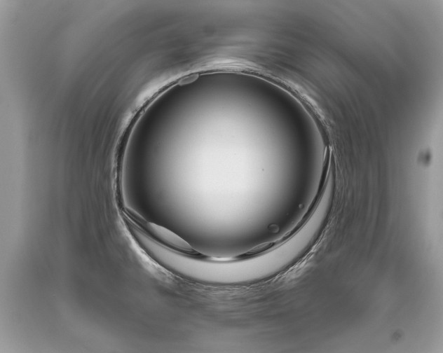 X0000093471430200710261033