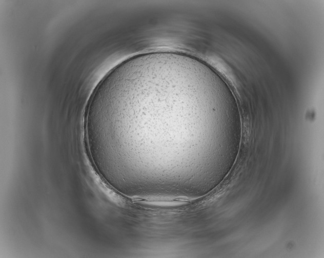 X0000093471431200710261033