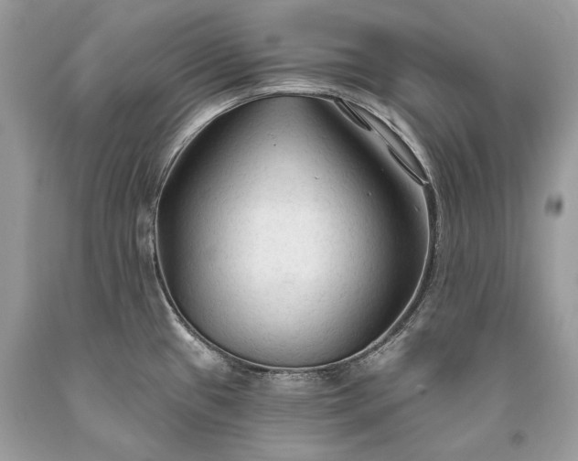 X0000093471433200710261033