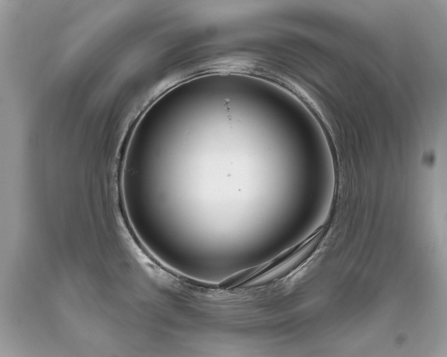 X0000093471434200710261033