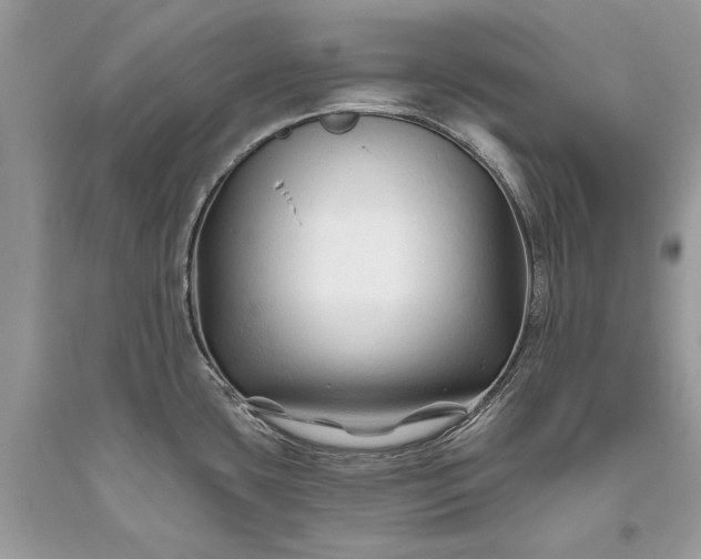 X0000093471435200710261033