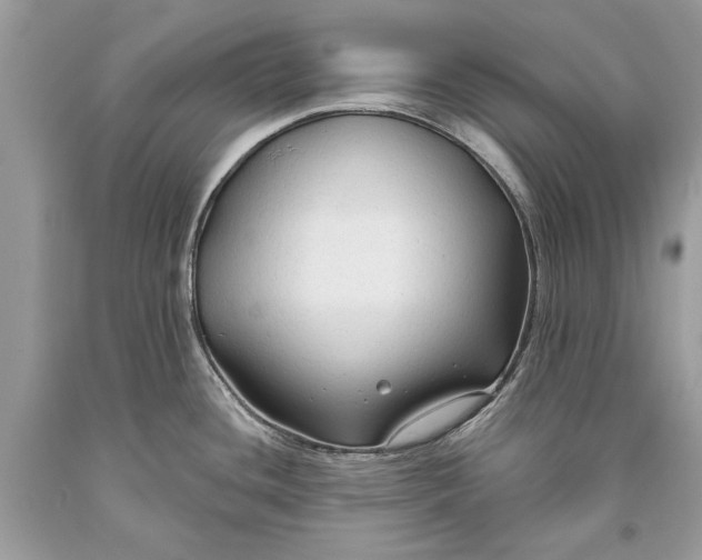 X0000093471436200710261033